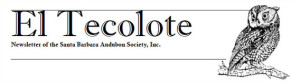El Tecolote Logo - Santa Barbara Audubon Society